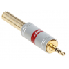 WTYK JACK-W/2.5/S-HQ VITALCO