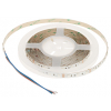 TAŚMA LED LED60-12V/14.4W-RGB/5M MW Lighting