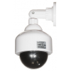 KAMERA ATRAPA ASD-127/LED-V2