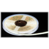 TAŚMA LED LED-COB-24V/8W-CW/5M - 6500 K MW Lighting